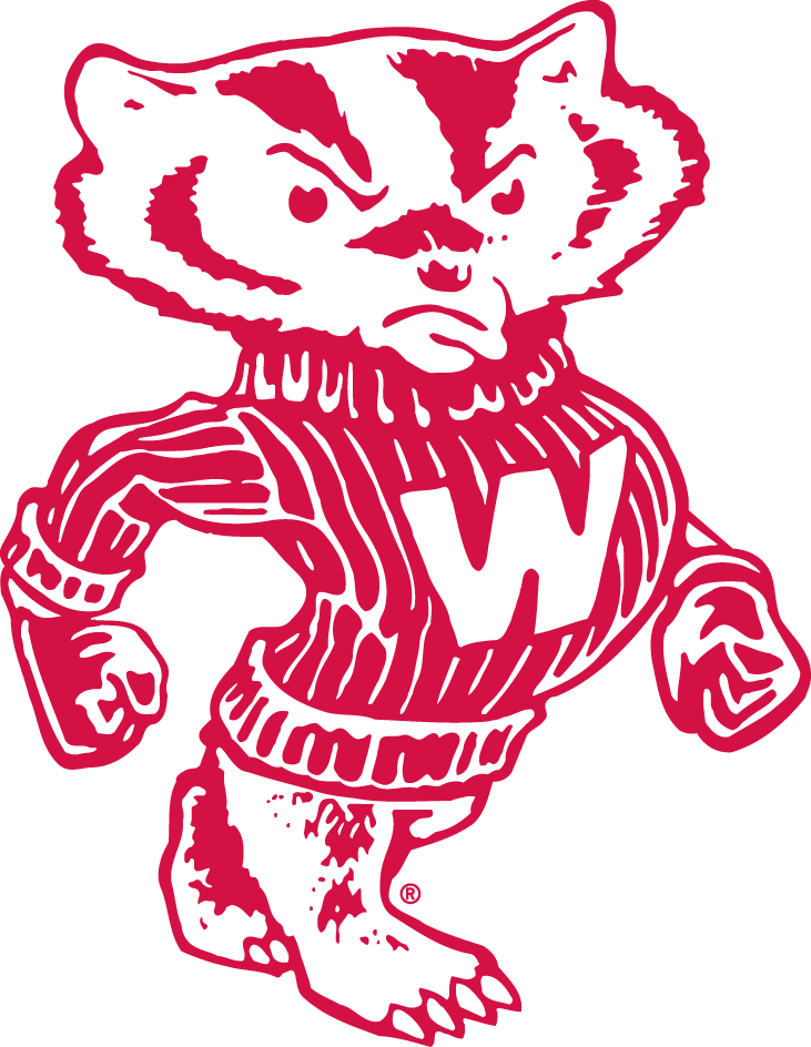 Wisconsin Badgers 1948-1969 Secondary Logo diy iron on heat transfer